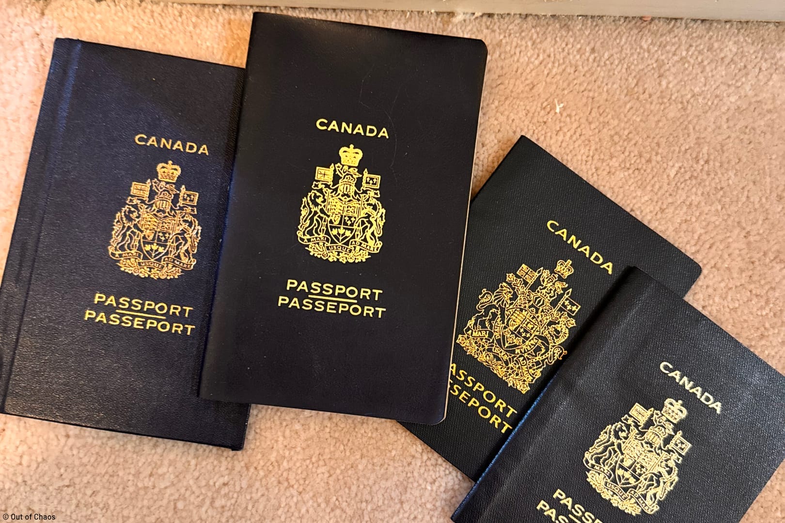 four Canadian passports spread out on a carpet