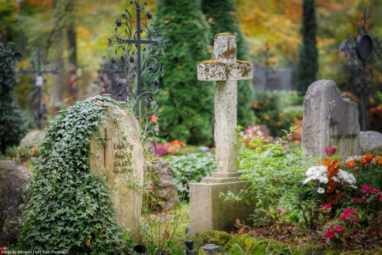 very old headstones in a cemetery covered with vines, flowers, and other greenery representing organizing during grief