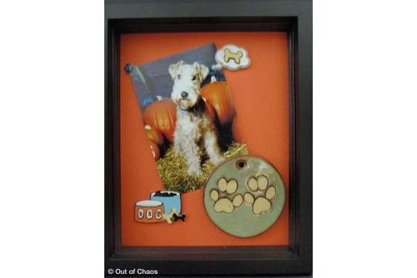 Organizing Pet Memories Herbie
